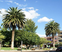 Praça Rio Branco