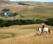 Passeio de Cavalo